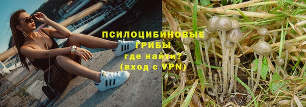 соль ск Аркадак