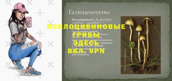 не бодяженный Арсеньев