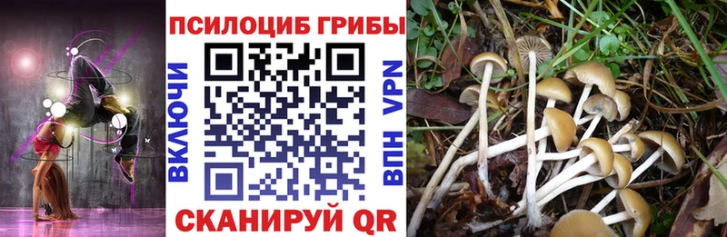 сколько стоит  ОМГ ОМГ ссылка  Псилоцибиновые грибы Magic Shrooms  Перевоз 